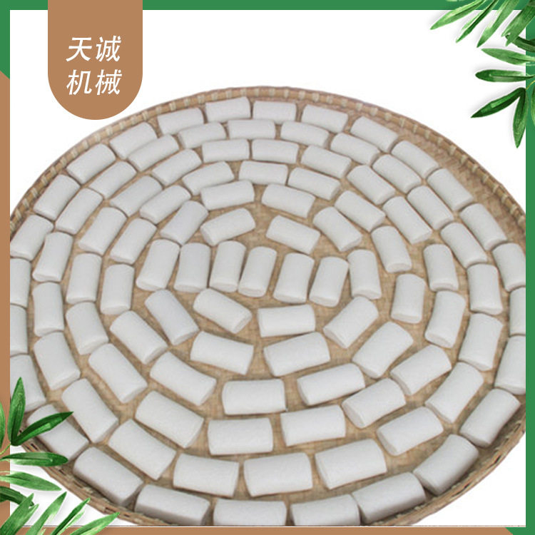 天诚TCS-60小型饵块加工机多功能自熟饵块粑粑机