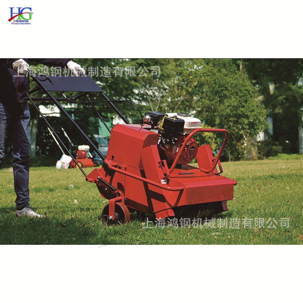 小型汽油草坪打孔机手扶自走式抠孔机湿地公园造景草地挖洞机