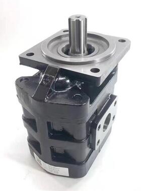 优势供应意大利马祖奇齿轮泵GHP2BK1-D-13进口