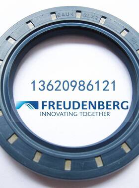 CFWBAU4SLX262-120-12/8德国SIMRIT科德宝进口骨架油封