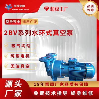 不锈钢水环式真空泵304/316L防爆工业用循环水耐腐蚀2BV2061负压