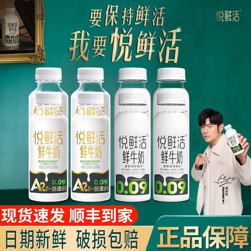 A2型-260ml/260ml+450ml君乐宝悦鲜活鲜牛奶瓶学生营养低温鲜牛奶