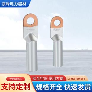 铜铝线鼻子接线耳国标DTL10/16/35/50-630平方接头过渡连接线端子