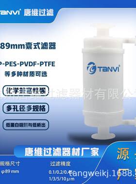 直径89mm大流量囊式过滤器耐酸碱腐蚀5英寸10英寸20英寸