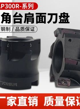 数控90度直角台肩铣刀盘BAP300R飞刀盘加工中心1135平面铣刀盘