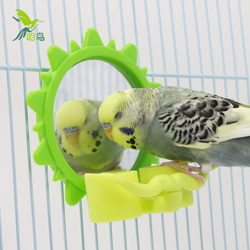 哈鸟鹦鹉自恋镜 魔法镜 玄凤牡丹虎皮鹦鹉玩具用品鸟玩具秋千吊环,宠物/宠物食品及用品,鸟玩具,淘宝优惠券,粉丝福利购,淘宝优惠卷