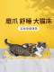 猫抓板猫咪磨爪子睡觉休息纸板纸盒贵妃椅3角板杠爪子塌猫沙发