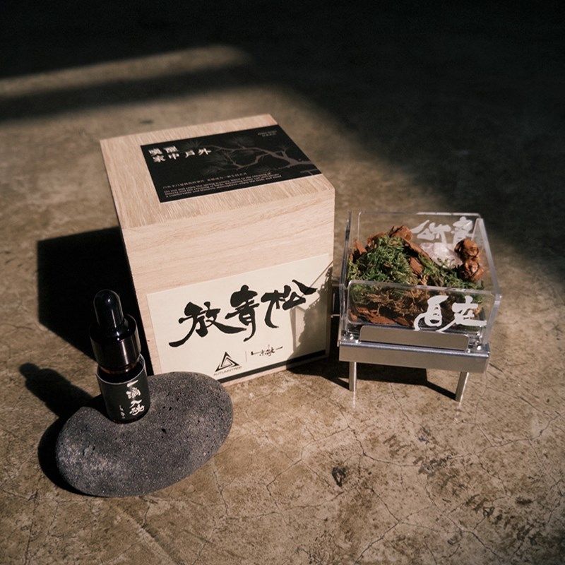 朱敬一放轻松书法香氛摆件扩香石无火香薰家用室内礼盒伴手礼礼物,家居饰品,香薰摆件,淘宝优惠券,粉丝福利购,淘宝优惠卷