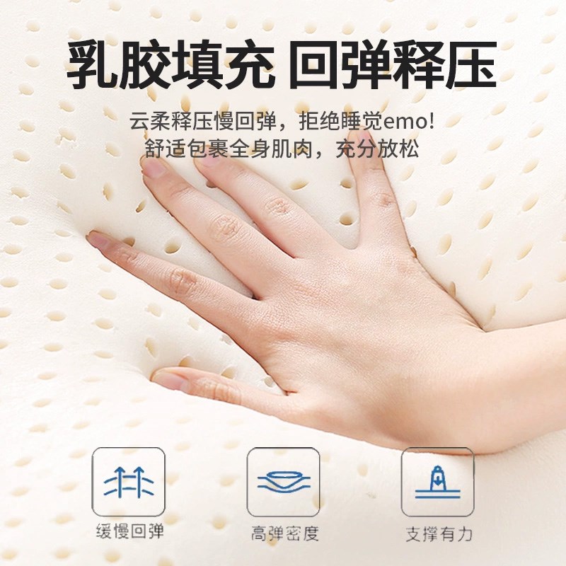 乳胶床垫家用卧室榻榻q米记忆海绵软垫宿舍学生租房褥子遮盖物