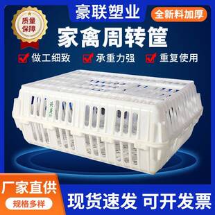 家禽周转筐鸡鸭运输笼鸡笼鸭笼物流运输塑料周转箱收纳大开门HDPE