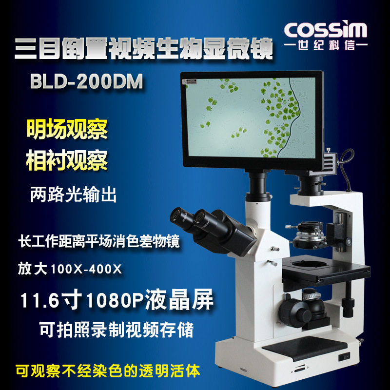 倒置生物显微镜BLD-200DM专业三目视频数码科研实验室培养皿观测