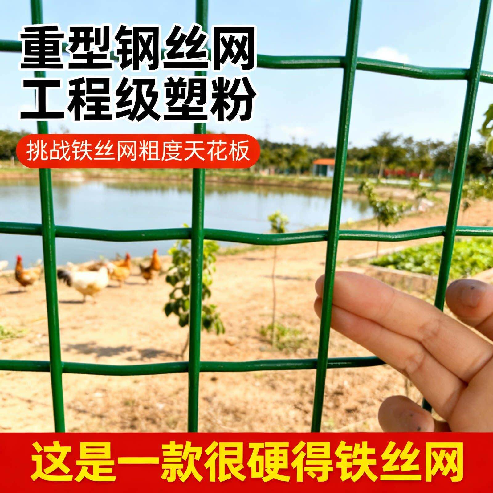 铁丝网围栏网钢丝铁网子护栏网荷兰网养鸡网养殖网栅栏围墙防护网