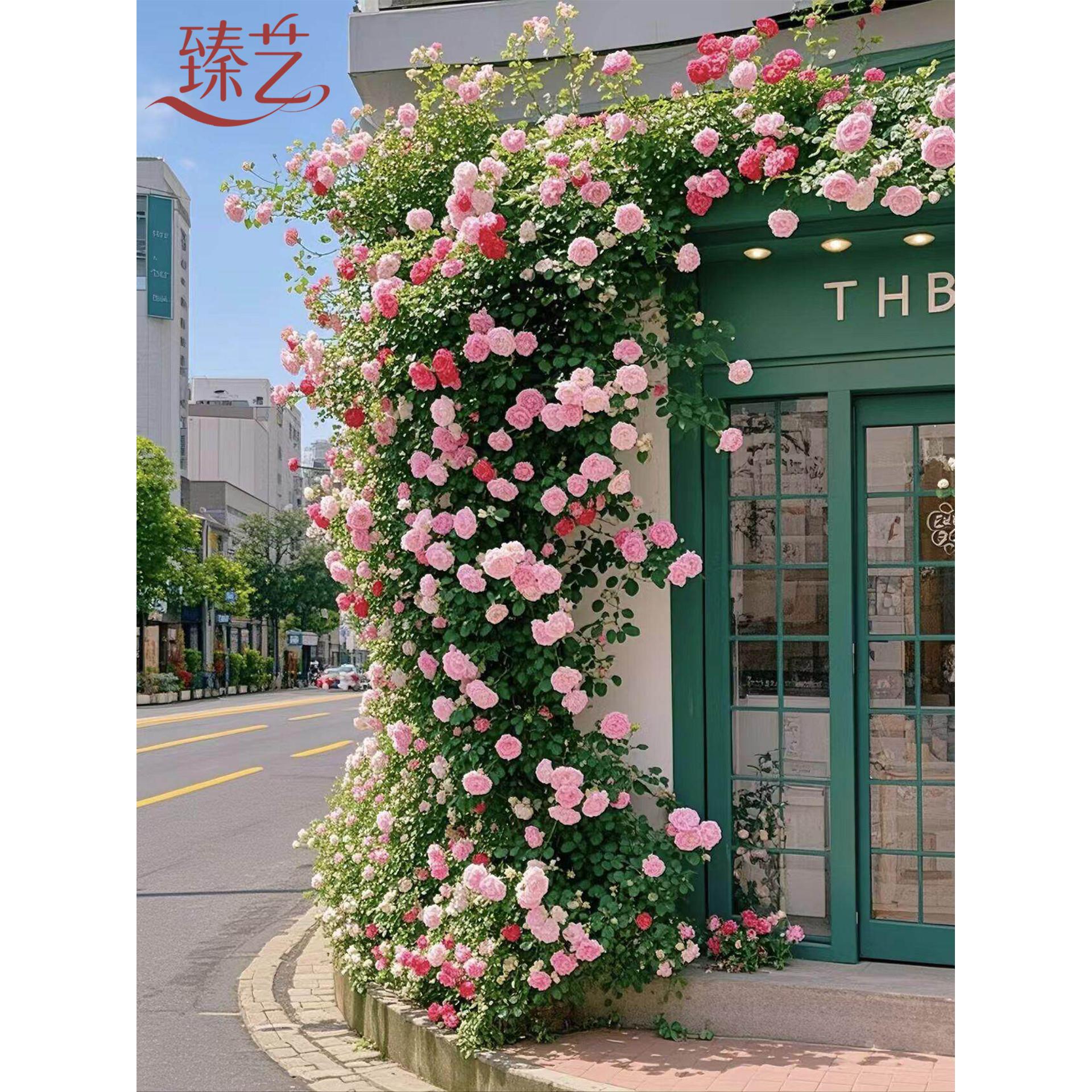 彷真玫瑰花花藤打卡花墙瀑布墙壁假花管道装饰花藤条遮挡门头花墙