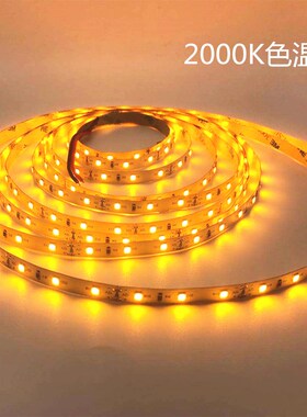 低功率4.8W准色温灯带12V24V2000K2700K3000K4000K5000K6000K灯条