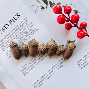 橡子果橡实天然连帽橡果子饰品大橡果野生干燥花橡碗橡树果装饰摆