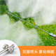 双面扇形喷头农用喷药电动喷雾双头四头不锈钢扇形雾化喷头