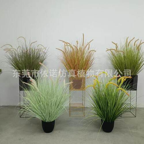 仿真狗尾巴草仿真绿植芦苇假草盆栽狗尾巴草装饰造景仿真