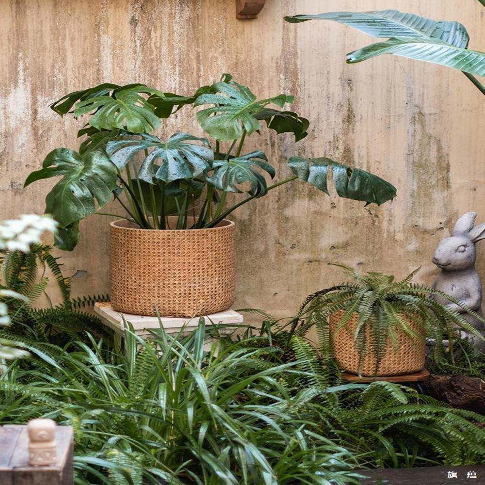 仿藤编织水泥花盆大号阳台绿植栽大装LF650889饰复古陶非瓷龟背竹
