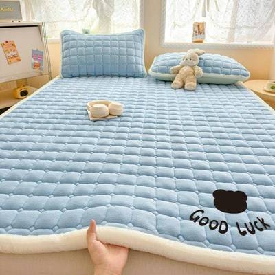 205新牛奶绒床58598407款2垫软垫加绒加厚床护褥垫床垫铺底毛绒垫