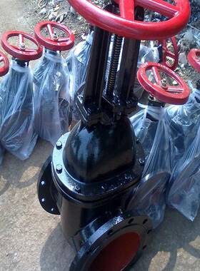 大明杆闸阀铜杆铜体6芯防护Z44T-10/1DN5065801CAM00125150