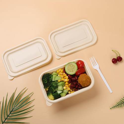 玉米JIC淀粉餐长包方盒可降解一次性餐盒外炒饭沙拉卖方形打盒