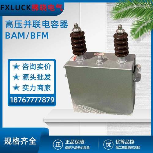 高压并联电力电容器BFM11-100-3W户外补偿BAM6.3/6.6/11/12√3-1W