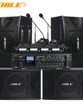 狮乐（SHILE）AV106+BX103会议音响套装专业四声道两分区培训室