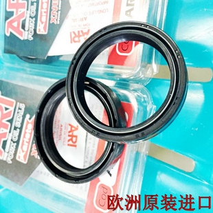 797 796 821怪兽V2街霸V4S前减震油封 795 欧洲进口ARI杜卡迪696