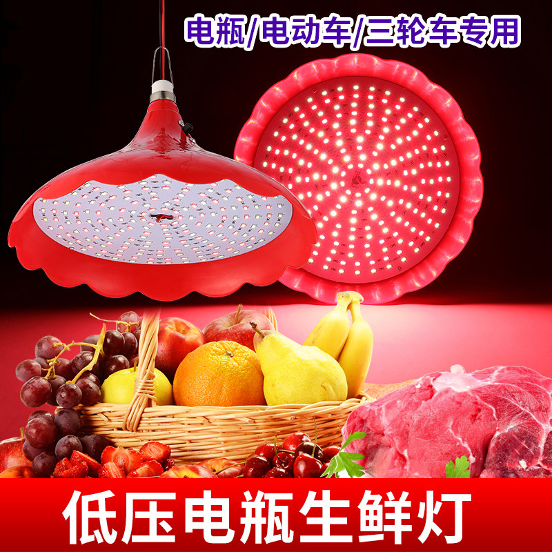 电瓶生鲜灯12v36v60vLED低压夜市摆地摊猪肉水果卤菜海鲜熟食灯泡