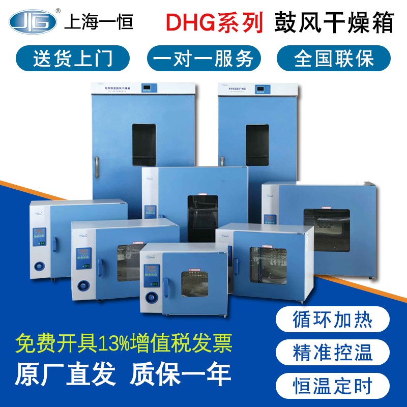 上海一恒电子电热恒温鼓风干燥箱实验室DHG9030A工业烘干箱小烤箱