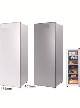 供BD190L太阳能全冷直冰流冰箱12V/4162V全冷冻冰4箱房车冻箱