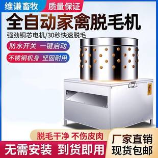 家禽脱毛机电动拔机全商自动拔毛GBP毛鸡用脱毛机鸭鹅拔毛打鸡毛