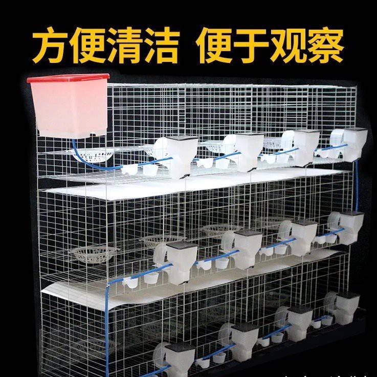 子笼配对养殖笼繁殖肉鸽笼室外家用12鸽位种鸽子三层鸽笼QKI子用