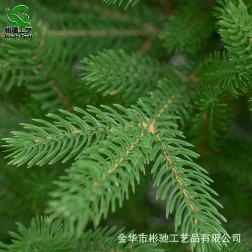 圣仿诞饰BC-95节氛装饰树大型围松树装摆件圣诞树植物真绿植厂家