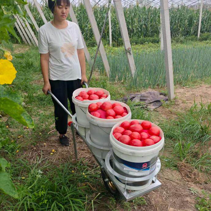 采摘运输车独轮车轻便手推车放桶专用瓜果蔬菜多用途工具车懒汉车