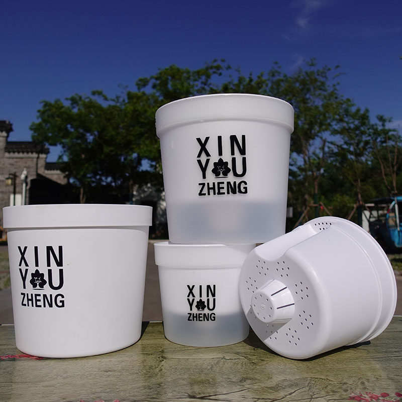 懒人花盆自动吸水免浇水免浇灌水培透明塑料绿萝双层储水桌面地面