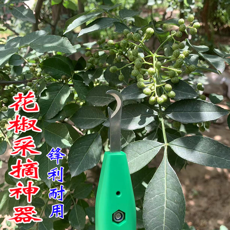 花椒采摘神器花椒采摘剪刀摘果子稀花工具剪葡萄辣椒农具花椒剪刀