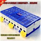 领航鸽子笼放飞笼训放笼折叠训鸽笼塑料报道笼赛信鸽用品鸽具 包邮