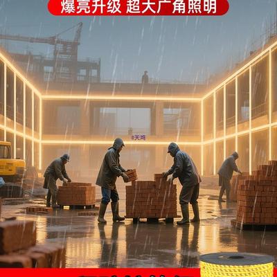 220灯户外防RBZ厅水客屋檐外氛围带室外工程高压墙暖光暖色灯条
