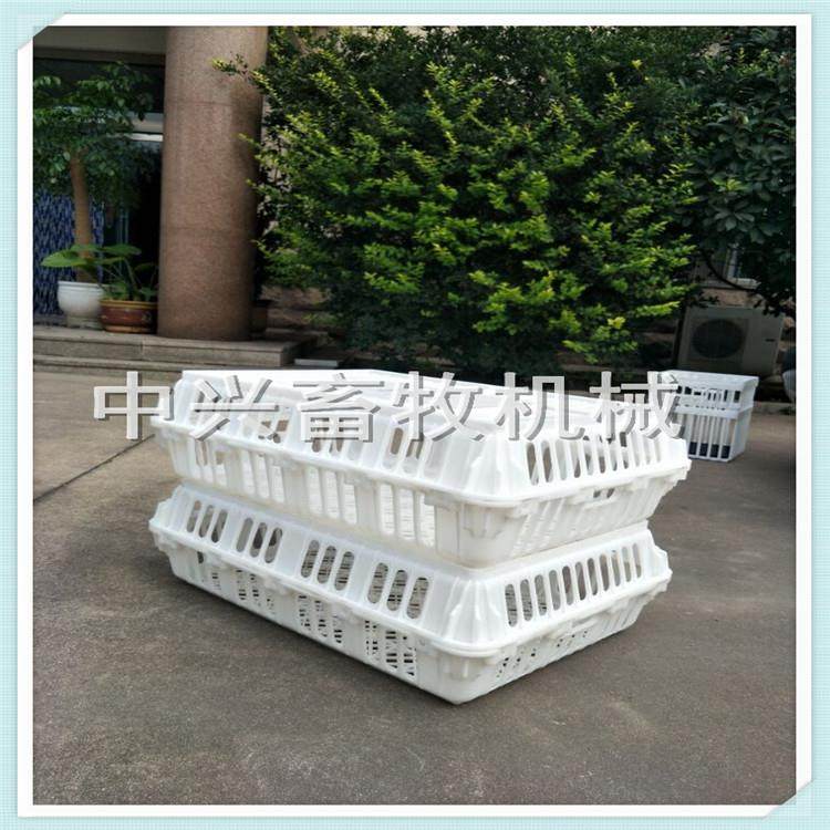 长途拉运输筐鸡笼加大鸡青年鸡ATD周鸭转箱笼,鲜花速递/花卉仿真/绿植园艺,其它园艺用品,淘宝优惠券,粉丝福利购,淘宝优惠卷