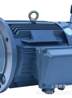 YEJYEJ225M-2流25MW8-22K电机YEJ系列电磁-制动三相异步交电动机