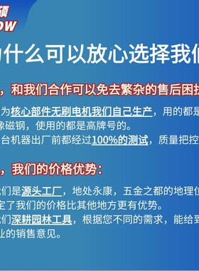 锂电锯充用电式锂工木专电锯伐木锯手提电YOR锯12寸无刷链锂电池