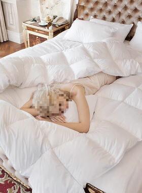 出口酒店羽五绒被白鹅绒被子冬被AL100572被芯加厚保春秋暖单双人