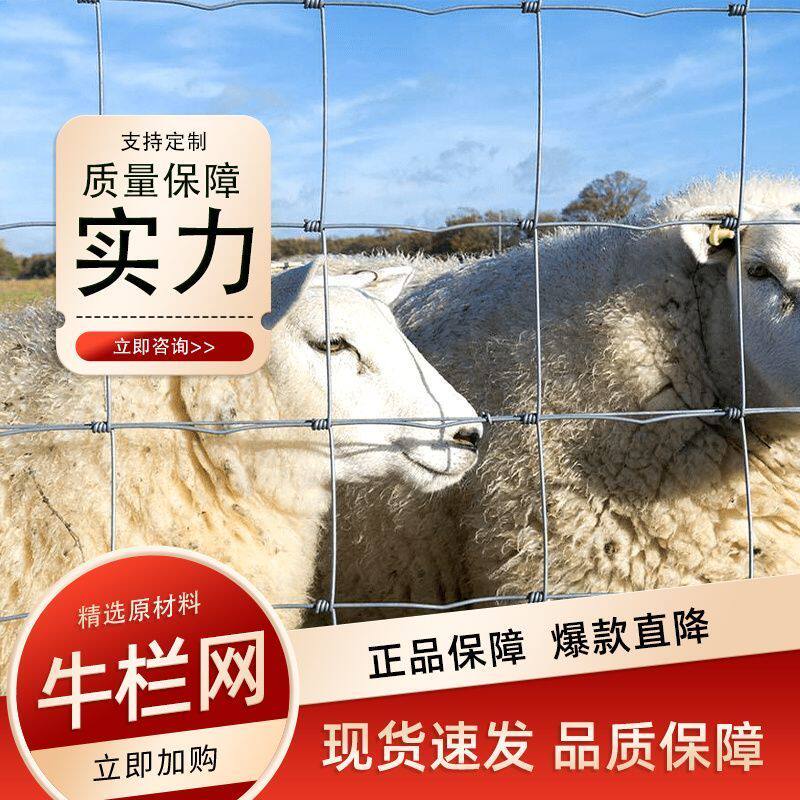热镀锌铁丝网防锈养殖围栏网牛栏网圈地拦牛羊果园钢丝防护网清仓