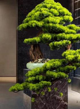 迎客大型摆件楼部松树绿F967JT7S植茶室售盆景客厅办公室家假饰装