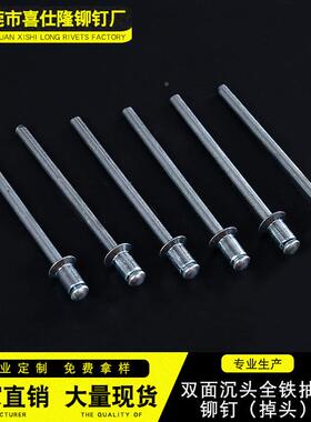 厂沉头全铁抽NEA拉铆芯钉（家头)双面掉沉头抽芯铆钉拉铆钉