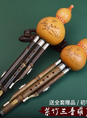 葫丝天然紫竹音奏可拆芦降B调KXPC调成人专业演初三学学生乐器