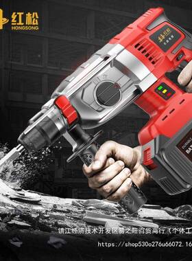德国红刷充电松式锤电镐大功率冲击钻混凝电土EZT锂电工具工业电