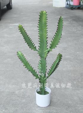 仿真盆小肉类植物掌PU材质软手感仙人65415仙柱栽人三棱箭室内摆