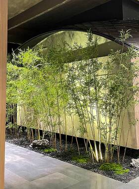 仿真竹子植造景新中式室内景观绿植景庭酒店院隔断假盆物装96380